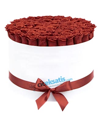 Beyaz Kutuda 101 G�l