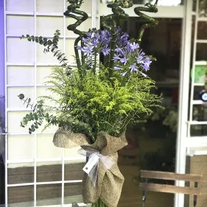 FCE04 Bambu Cazibesi